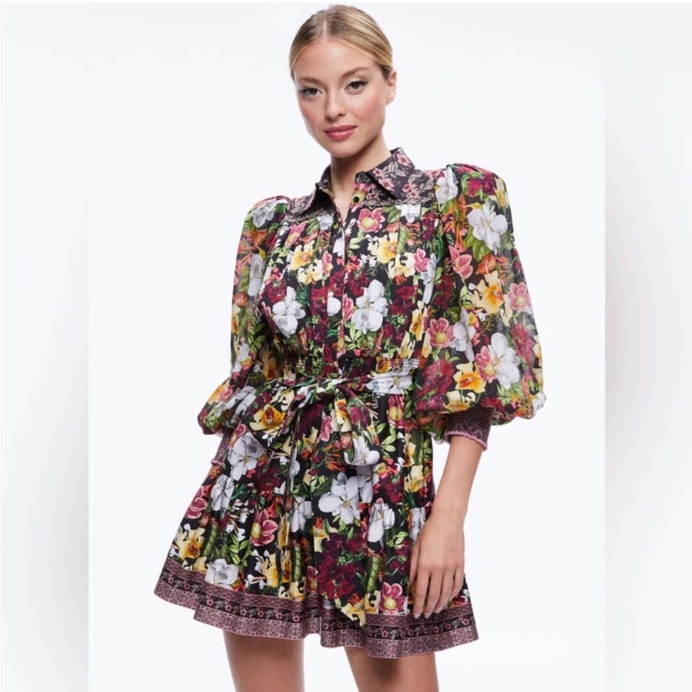 Alice + Olivia Tiffie Floral Pintuck Minidress